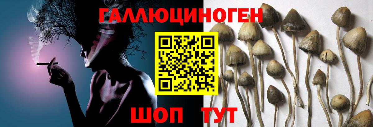 Псилоцибиновые грибы MAGIC MUSHROOMS  дарнет шоп  Елабуга  Вход с VPN 